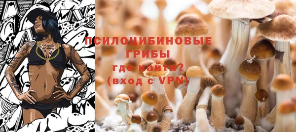 соль курить ск Абаза