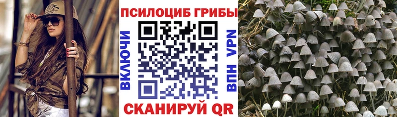 как найти закладки  Тольятти  Псилоцибиновые грибы MAGIC MUSHROOMS 